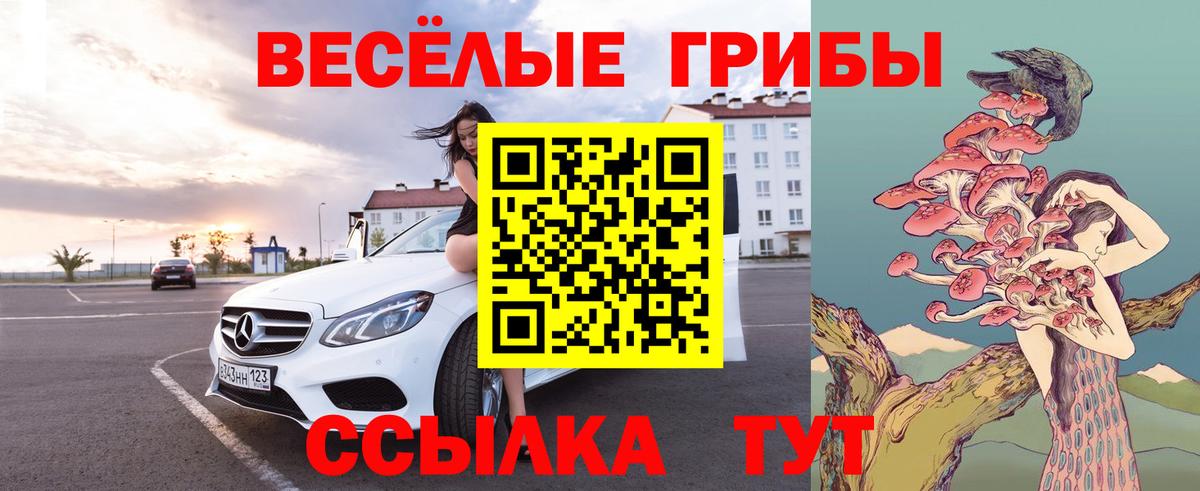 Псилоцибиновые грибы GOLDEN TEACHER  где купить   Междуреченск  Вход с VPN 