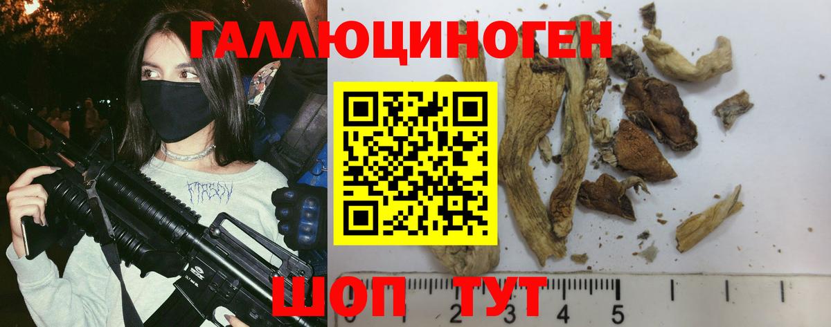 Галлюциногенные грибы Cubensis Междуреченск